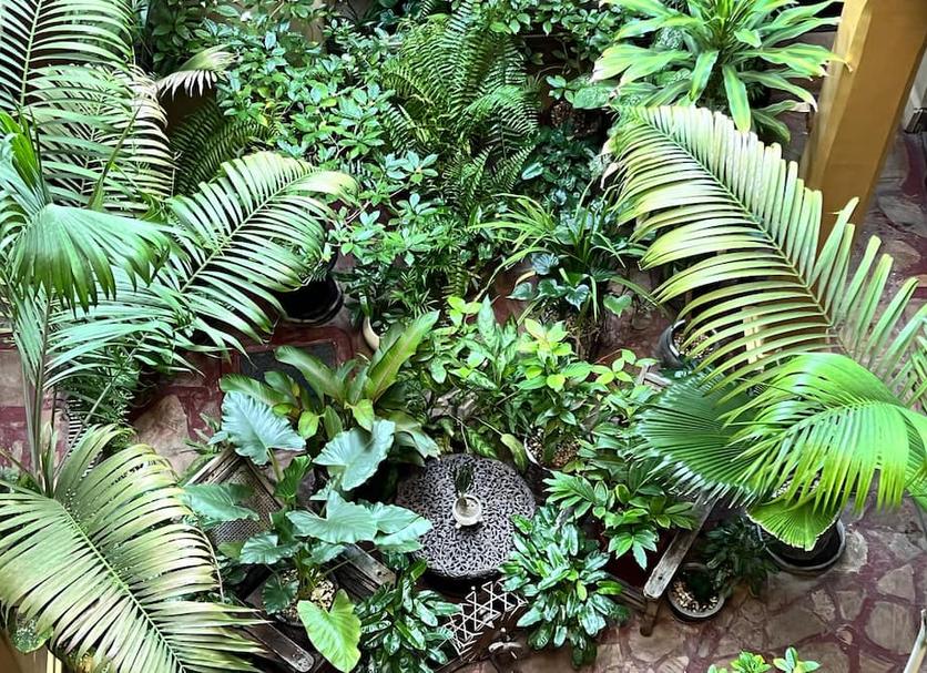 Outdoors view Photo