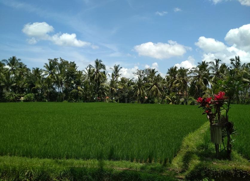 Outdoors view Photo