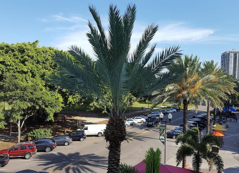 Outdoors view Photo