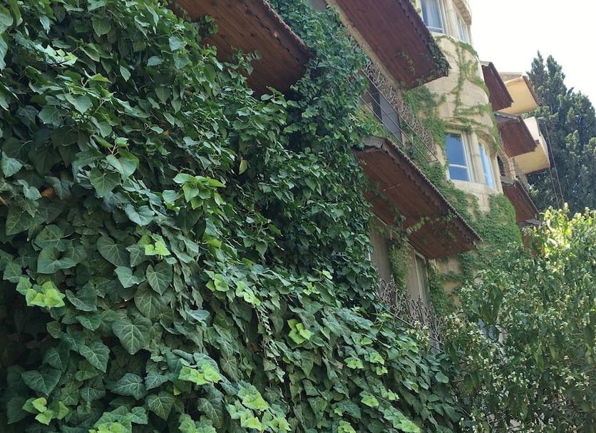 Outdoors view Photo