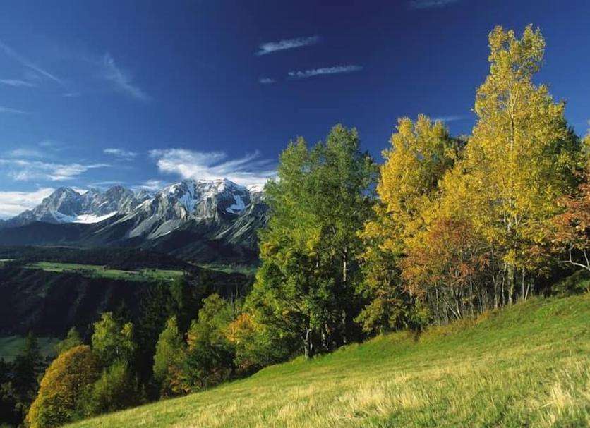Outdoors view Photo