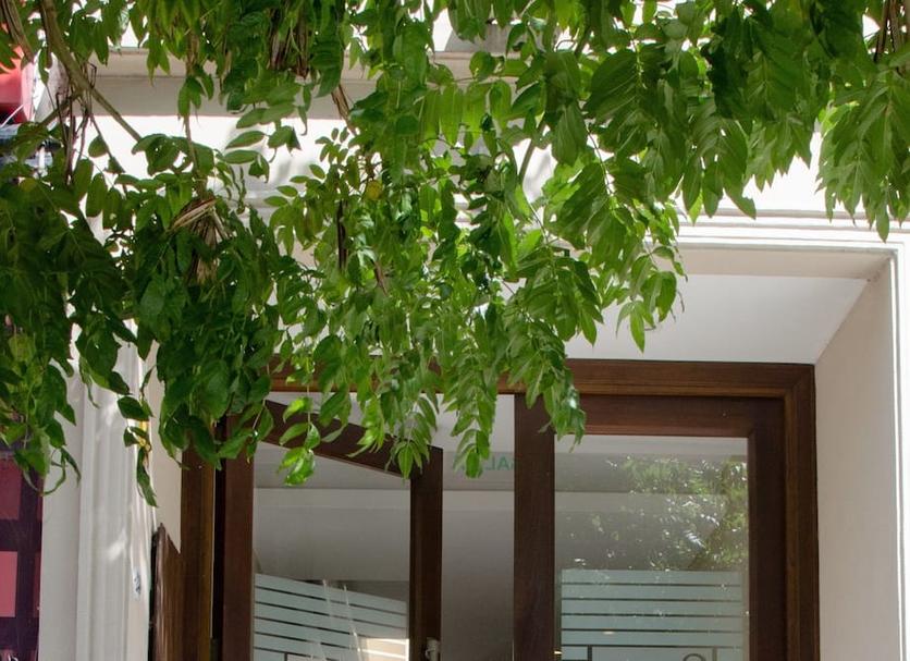 Outdoors view Photo