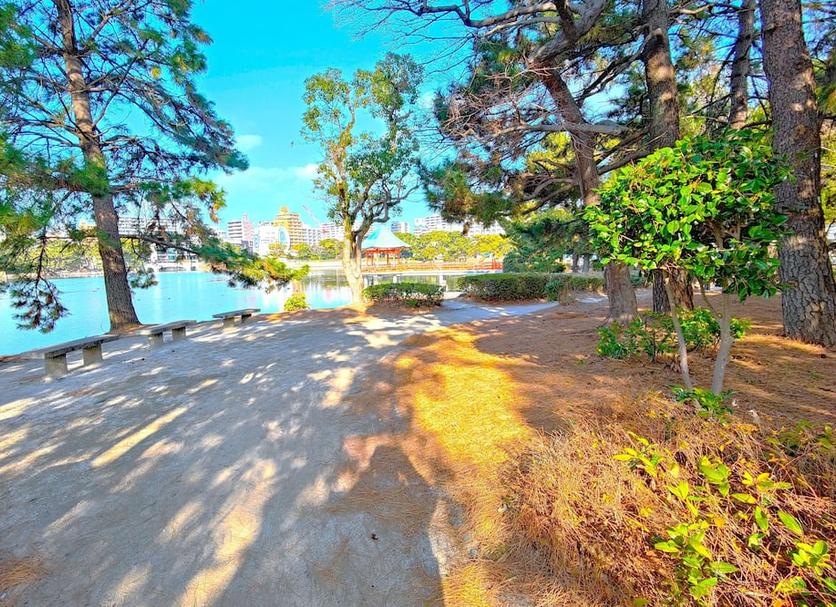 Outdoors view Photo