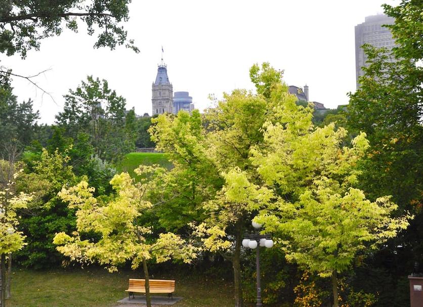 Outdoors view Photo