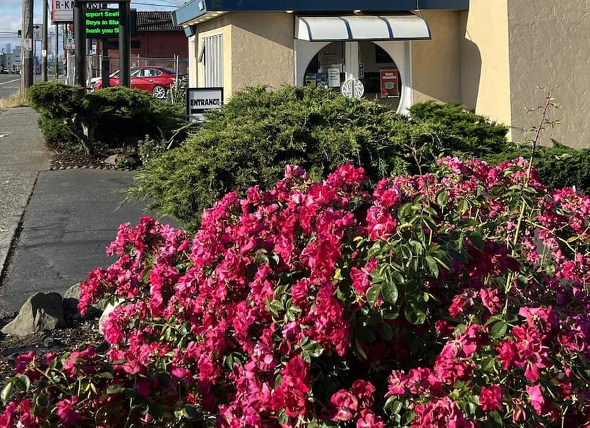Outdoors view Photo