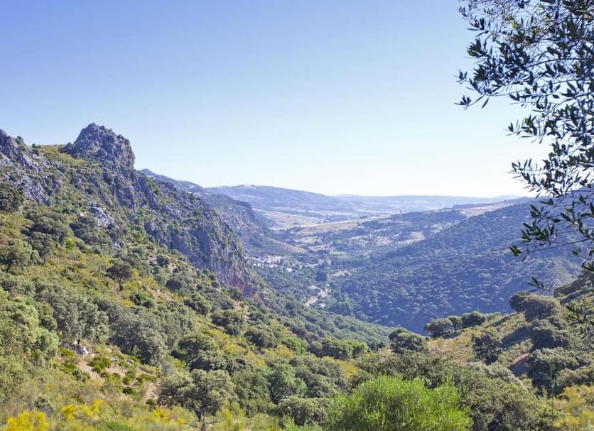 Outdoors view Photo