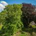 Outdoors view