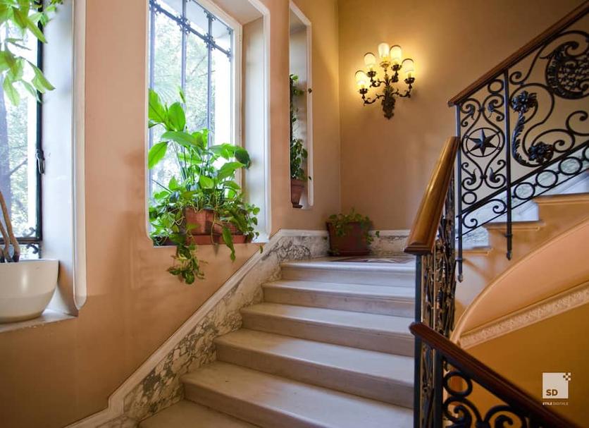 Stairs Photo
