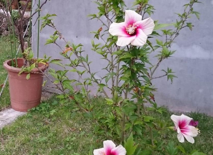 Outdoors view Photo
