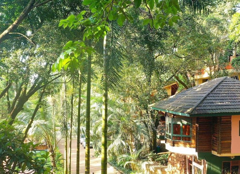 Outdoors view Photo