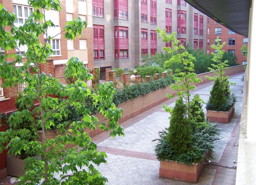 Outdoors view Photo