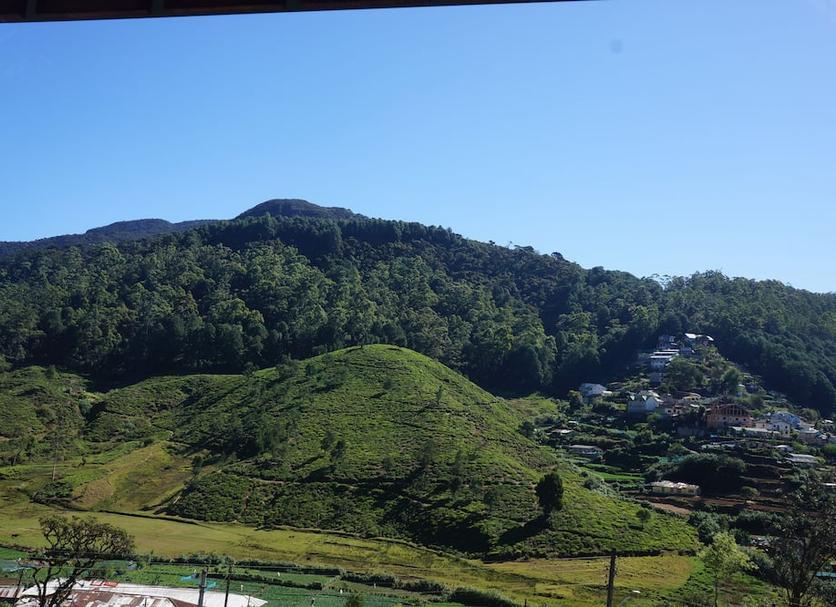 Outdoors view Photo