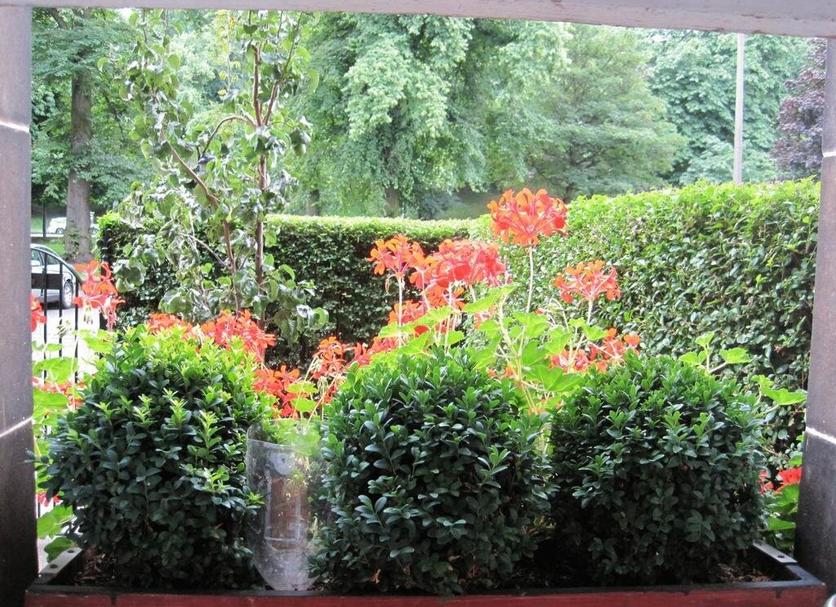 Outdoors view Photo