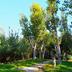 Outdoors view