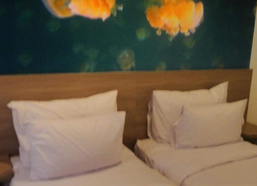 Room amenity Photo
