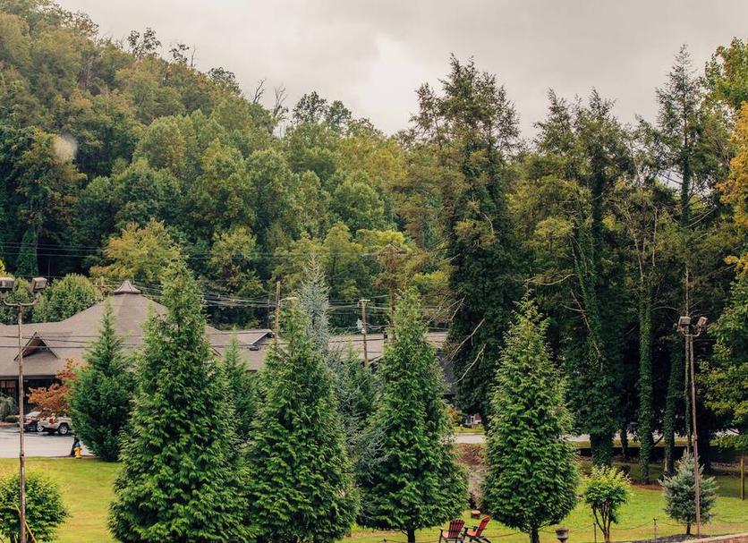 Outdoors view Photo