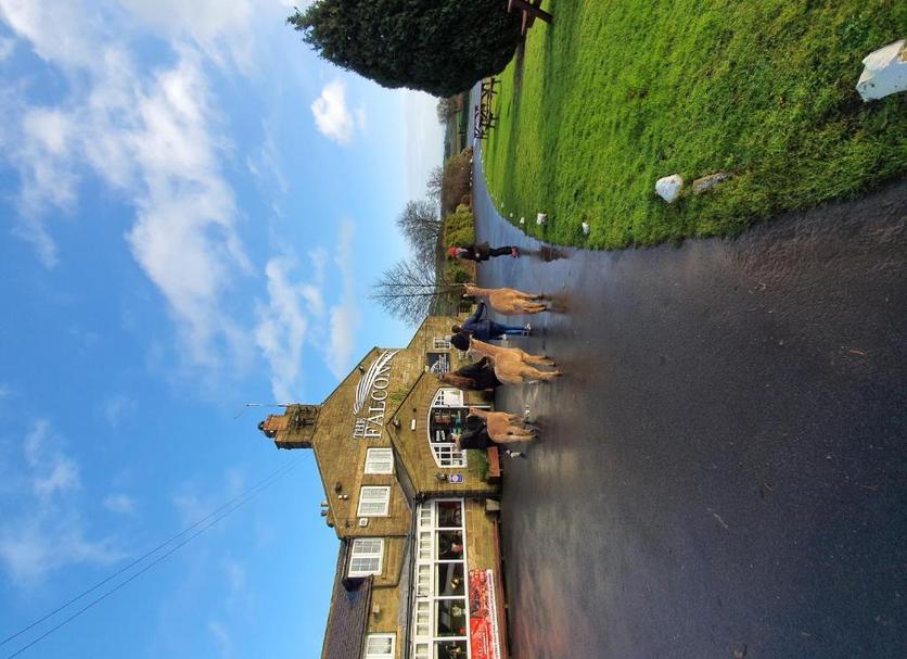 Outdoors view Photo