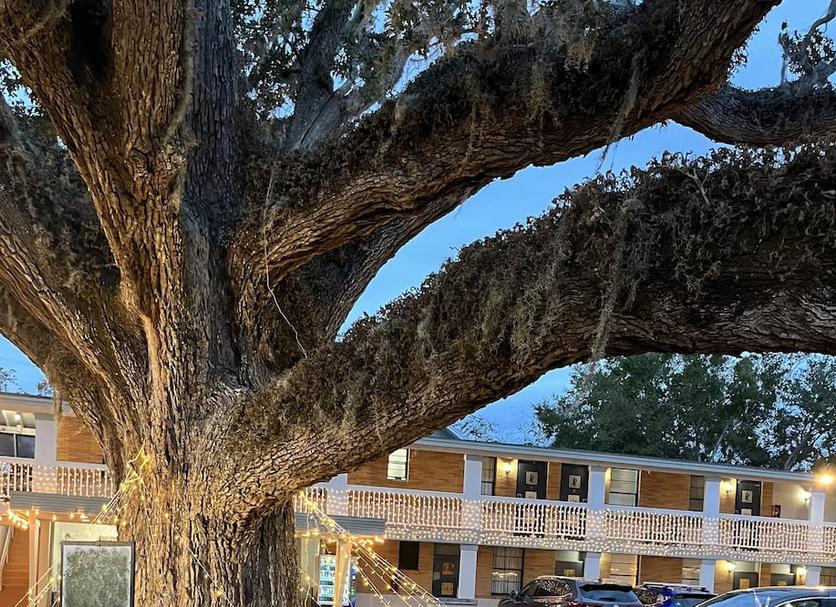 Outdoors view Photo