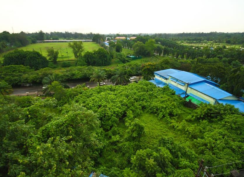 Outdoors view Photo