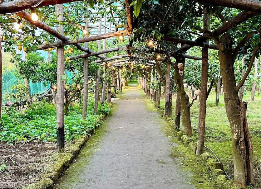 Outdoors view Photo