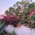 Outdoors view