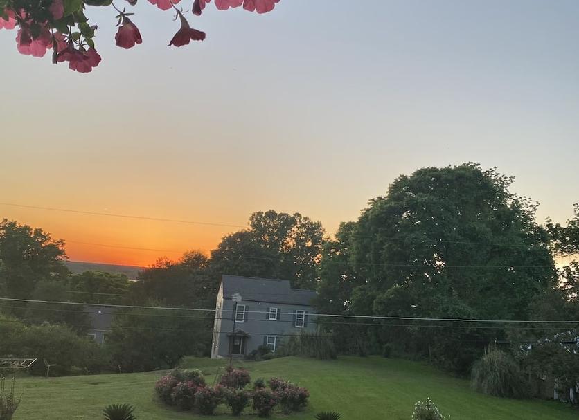 Outdoors view Photo