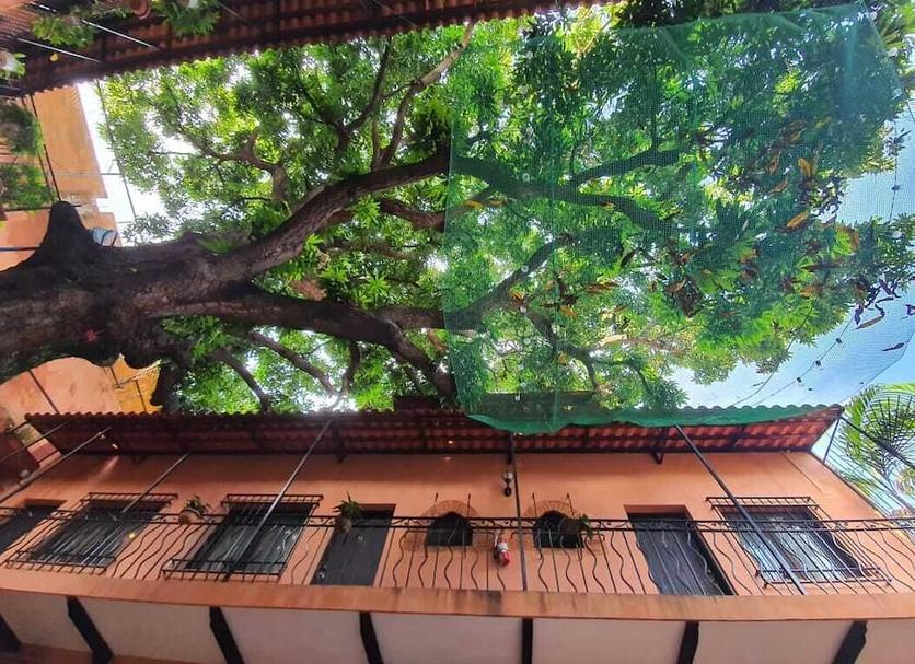 Outdoors view Photo