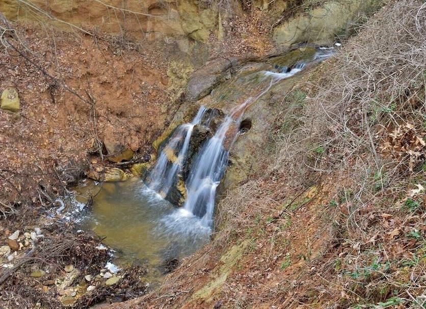 Other Photo