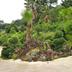 Outdoors view