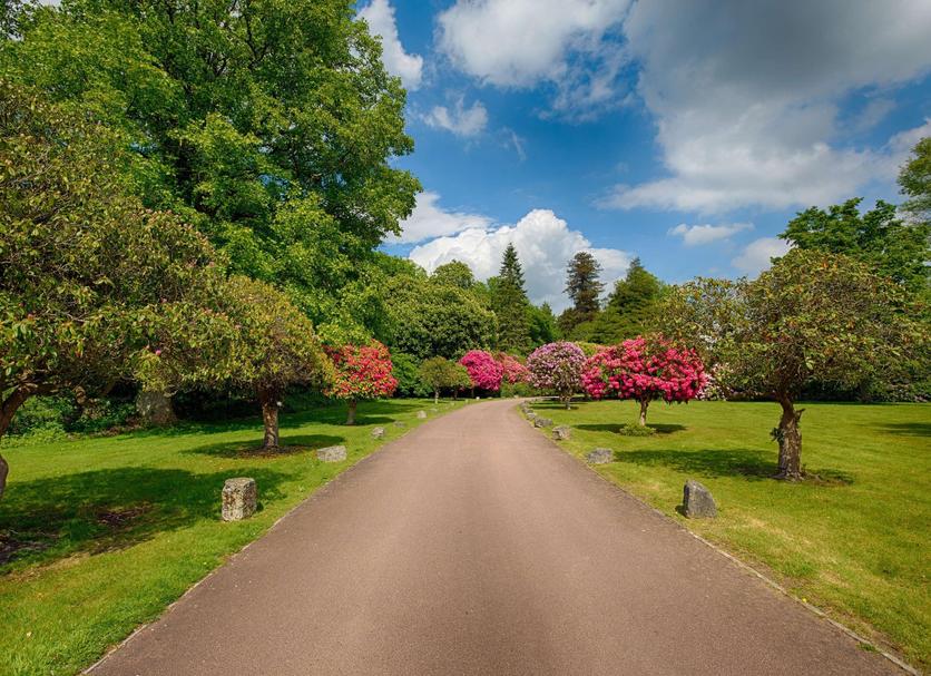 Outdoors view Photo