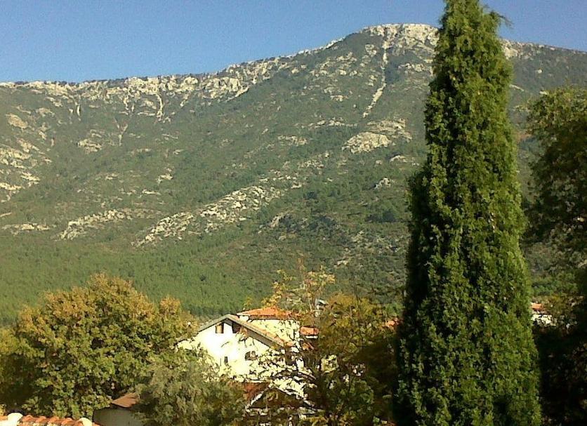 Outdoors view Photo