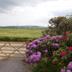 Outdoors view