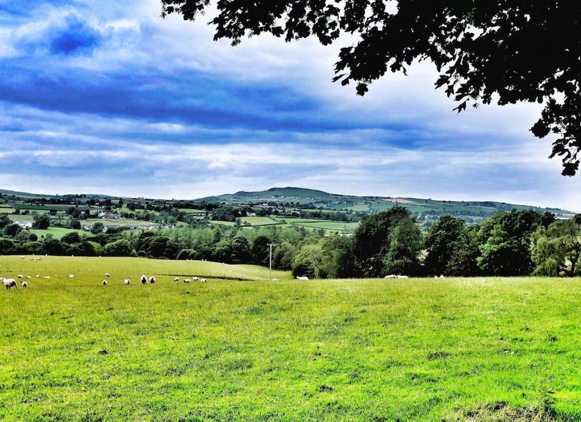 Outdoors view Photo