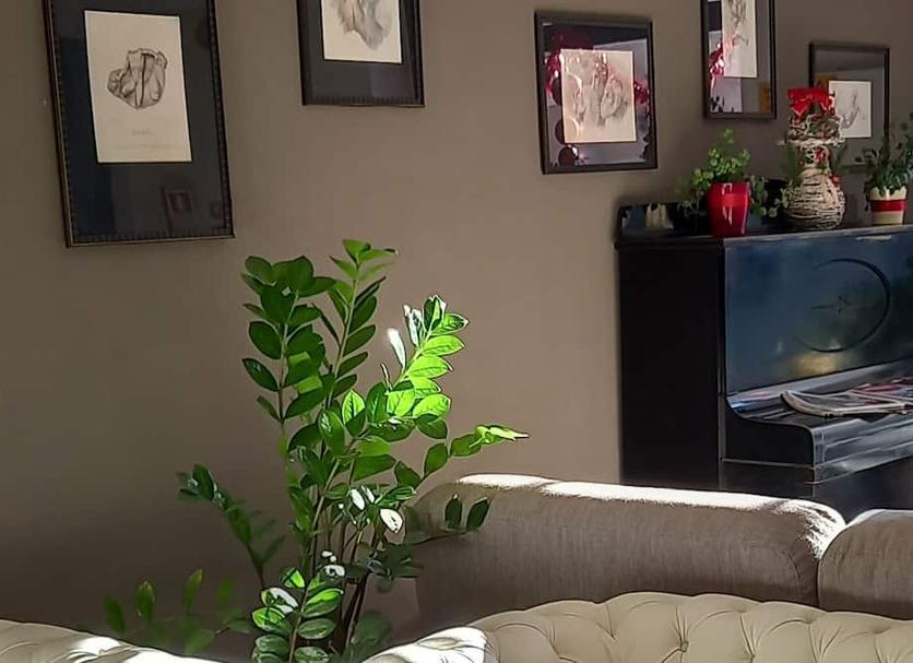 Room amenity Photo