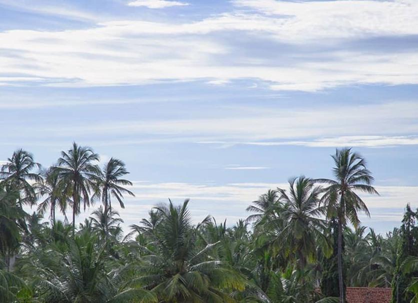 Outdoors view Photo
