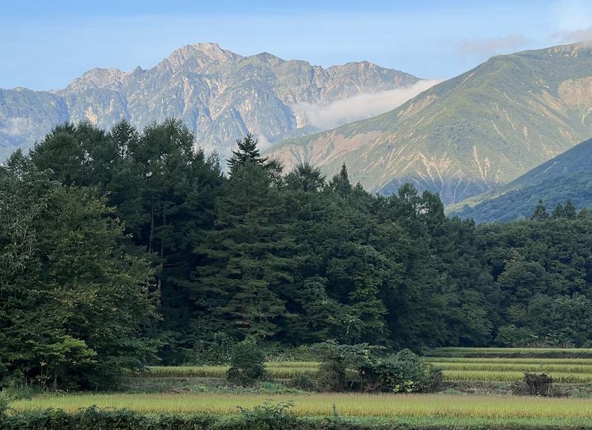 Outdoors view Photo