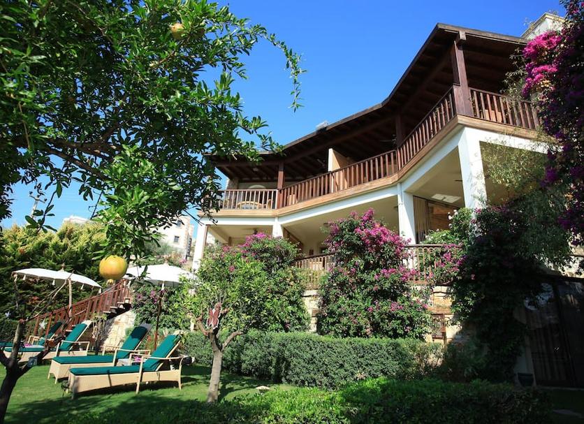 Outdoors view Photo