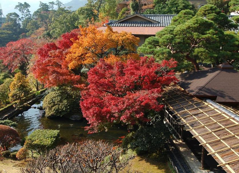 Outdoors view Photo