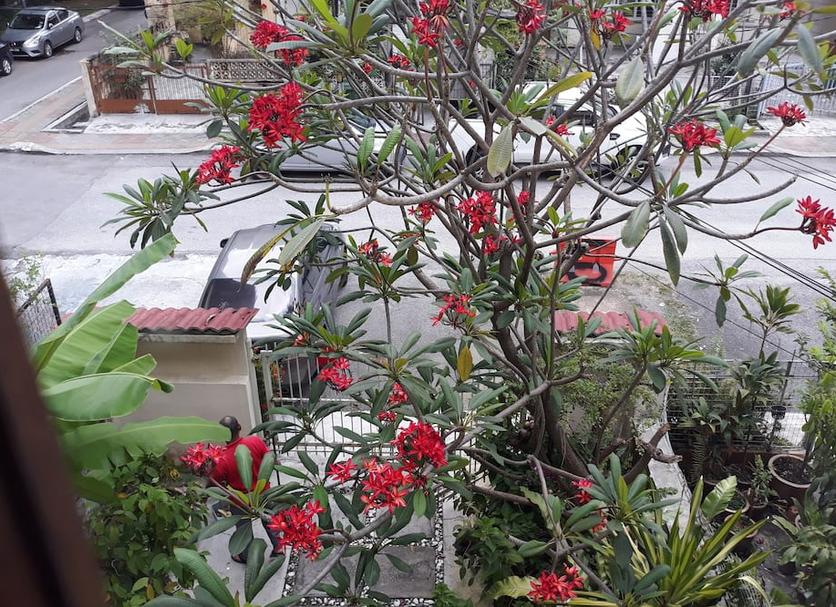 Outdoors view Photo