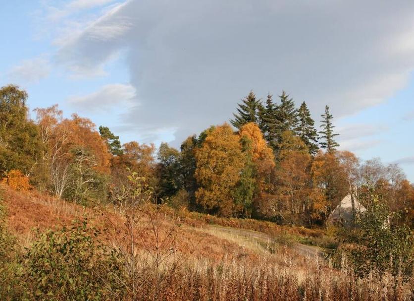 Outdoors view Photo