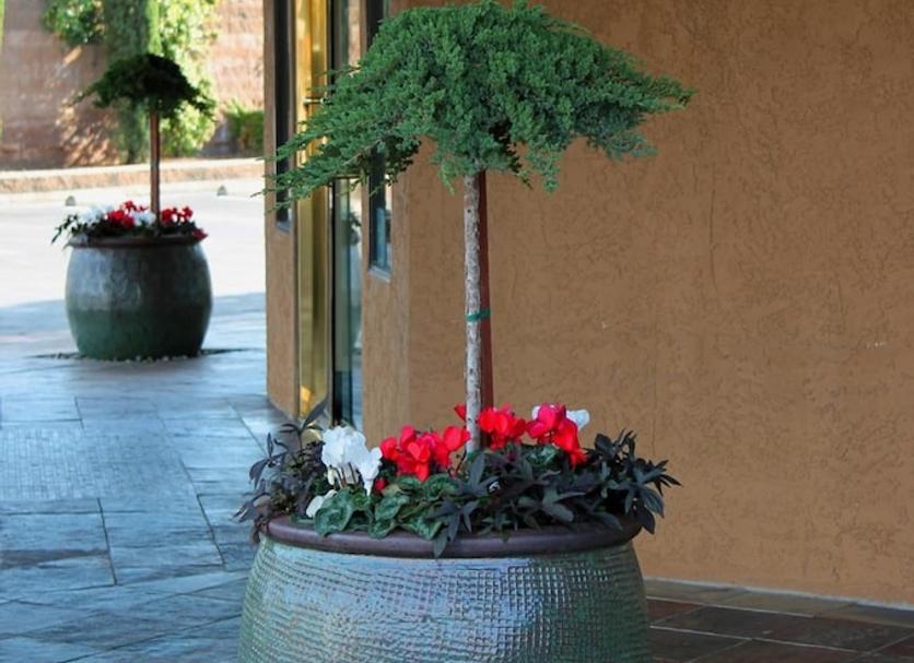 Outdoors view Photo