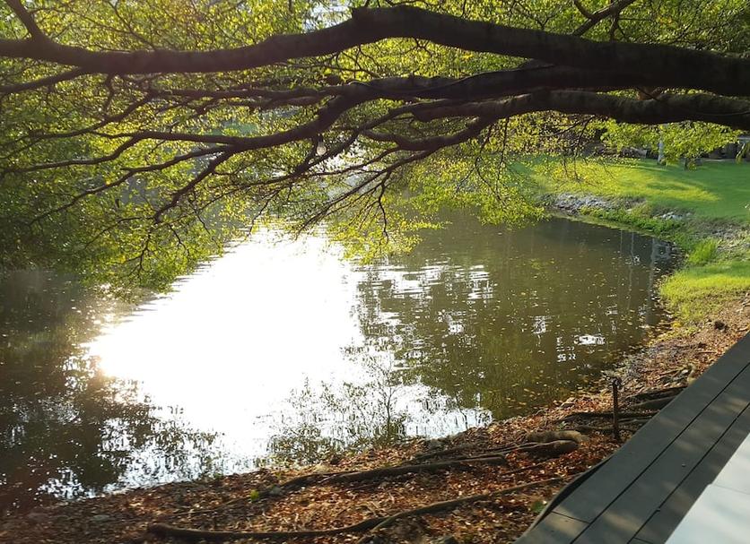 Outdoors view Photo