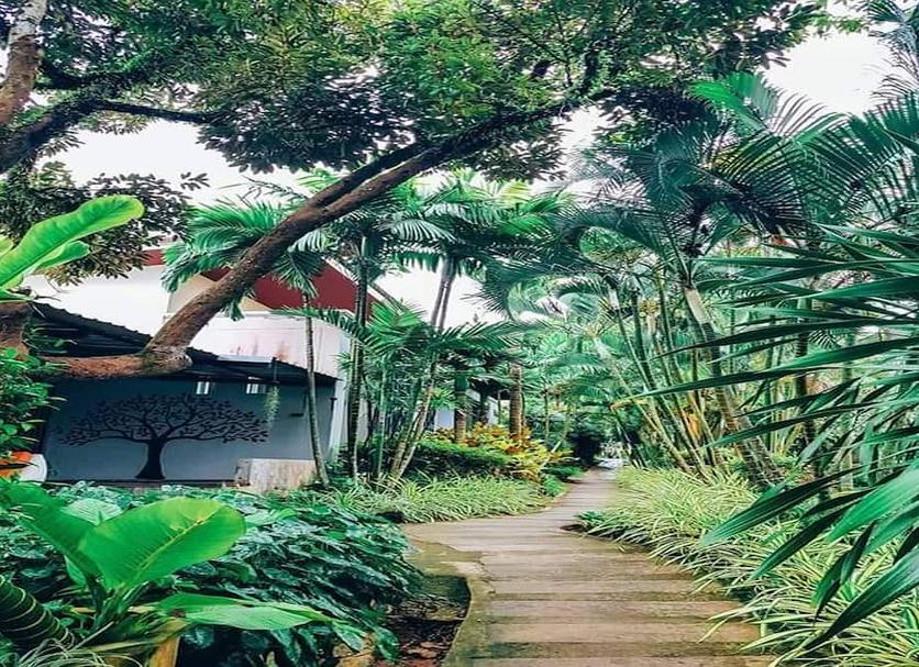 Outdoors view Photo