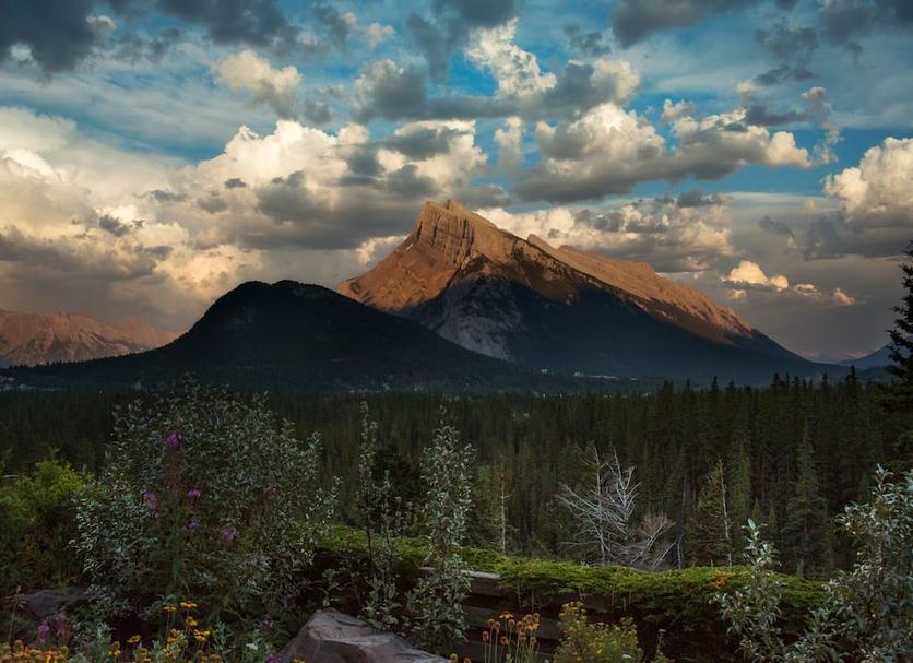 Outdoors view Photo