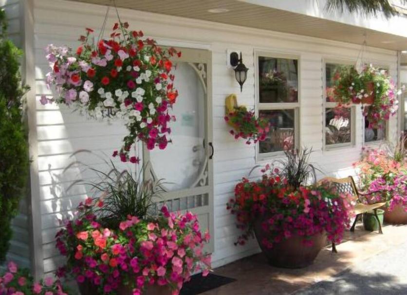 Outdoors view Photo
