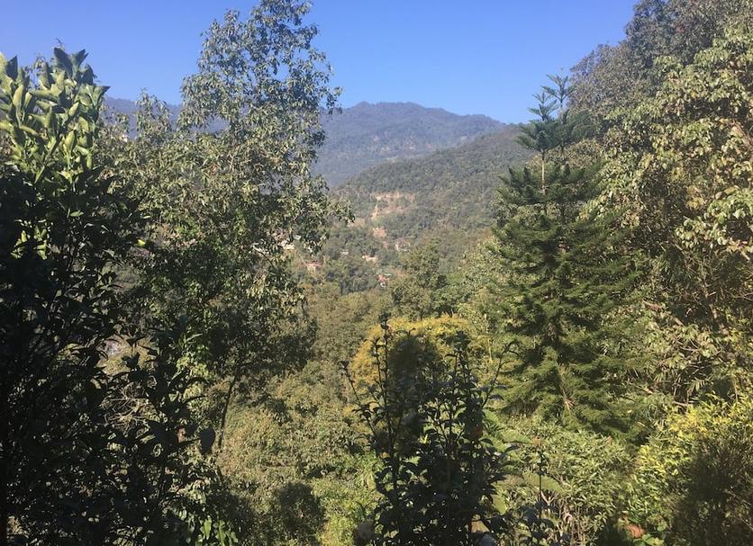 Outdoors view Photo