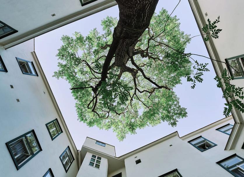Outdoors view Photo