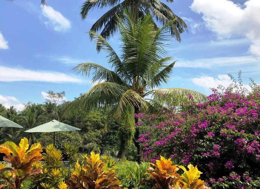 Outdoors view Photo
