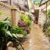 Outdoors view