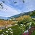 Outdoors view